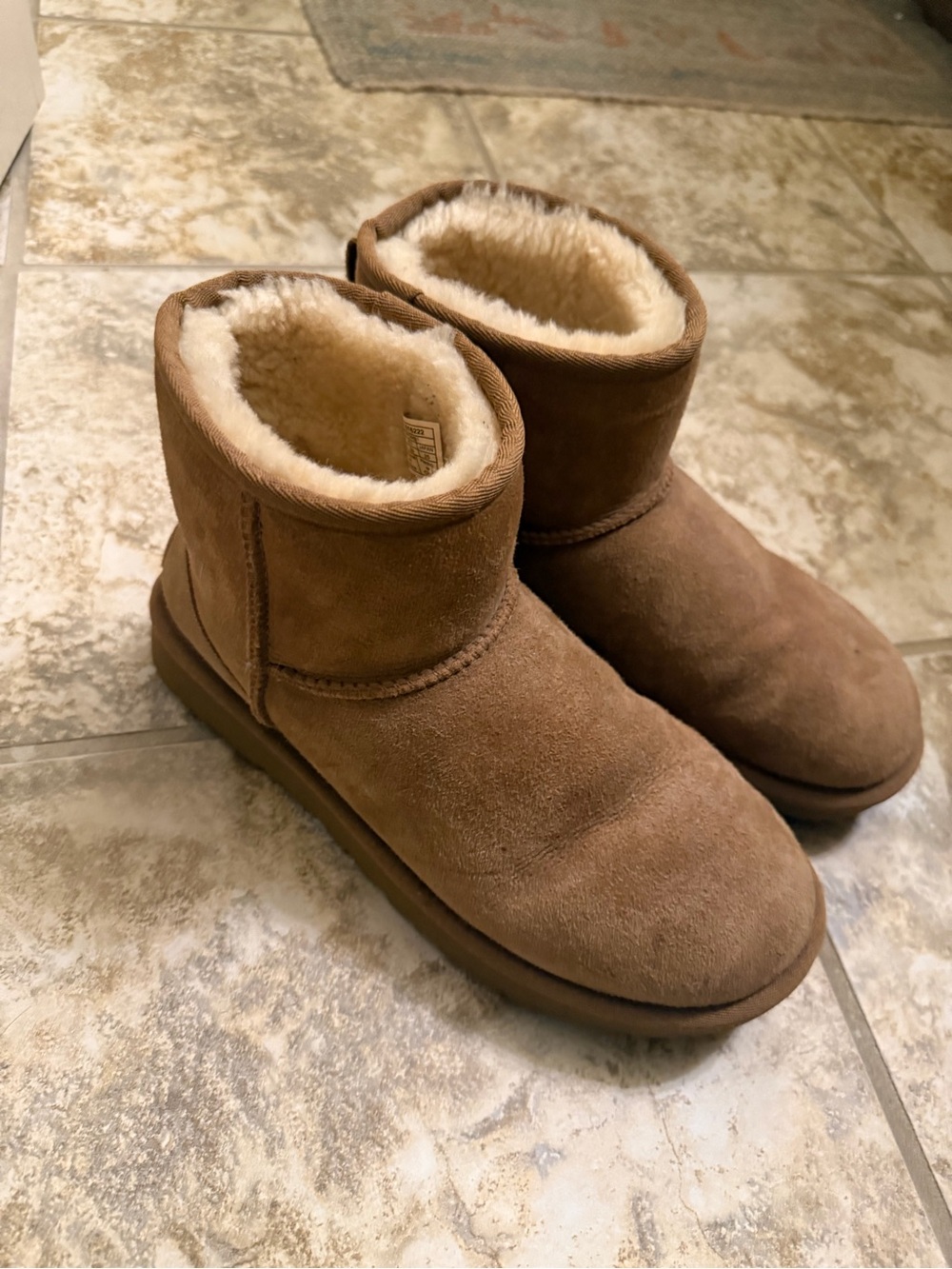 UGG Women’s Classic Mini II — Size 8 Chestnut